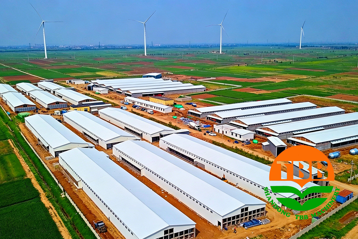 1775891305185410.jpg pic5.jpg